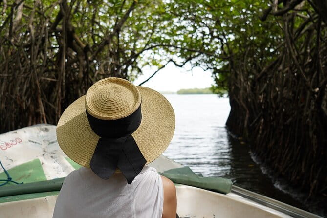 Private Galle Day Tour with River Safari, Stilt fishing & Turtles - From Bentota to Galle: How the Day Actually Flows