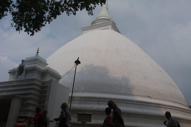 Private Half-Day Colombo City Tour - Floating Market Stop: When Colombo Turns Odd in the Best Way