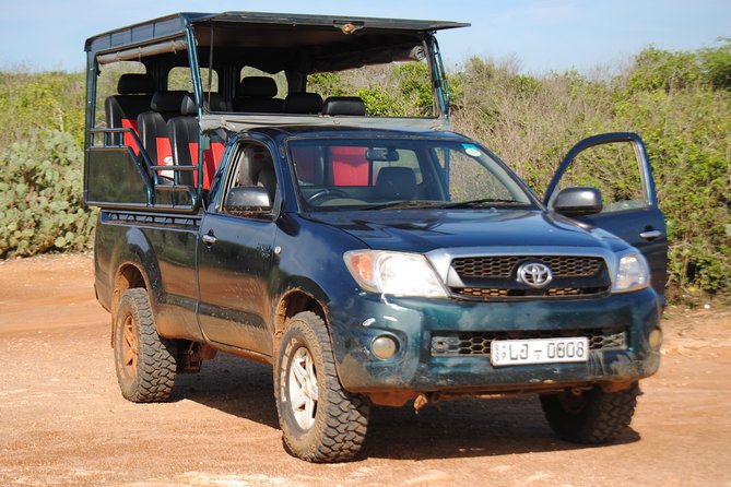 Private Half Day Safari Tour to Yala NP From Tangalle and Drop Back - Key highlights you’ll care about