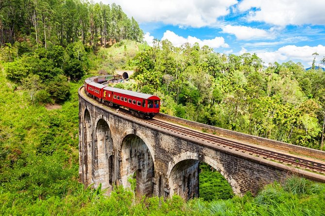 Private Hiking Adventure to the Little Adam’s Peak And Nine Arches Bridge. - Nine Arches Bridge by rail: stone scale and what to look for