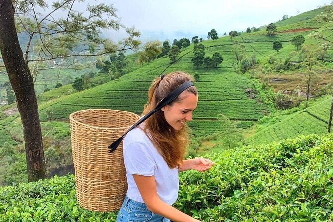 Private Ravana Falls and Nine Arches Bridge Ella Tour from Galle - Demodara to Ella: the train ride that gives the day its signature feel