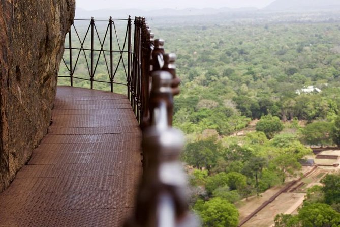 Private Trip to Sigiriya, Dambulla & safari from Colombo/ Negombo - Quick take: what makes this day trip work