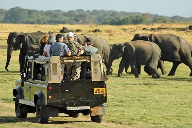 Private Trip to Sigiriya, Dambulla & safari from Colombo/ Negombo - Sigiriya ruins + Pidurangala viewpoints: timing, stairs, and the big picture
