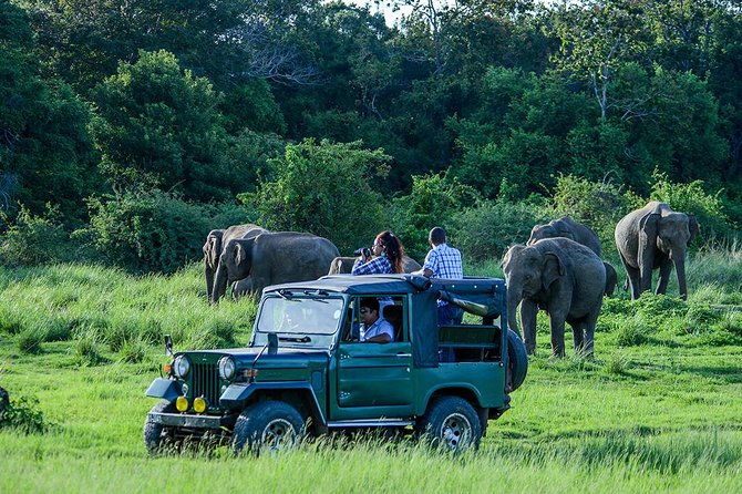 Private Trip to Sigiriya, Dambulla & safari from Colombo/ Negombo - Dambulla Cave Temple (Golden Temple): a focused cultural stop