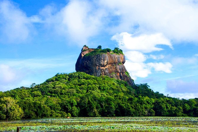 Private Trip to Sigiriya, Dambulla & safari from Colombo/ Negombo - Minneriya National Park safari: elephants are the clock