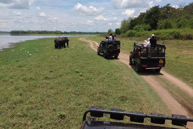 Private Trip to Sigiriya, Dambulla & safari from Colombo/ Negombo - Timing, comfort, and what to pack for a 9–12 hour day