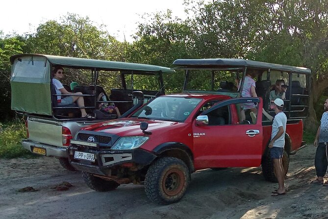 Private Wilpatu National Park Leopard safari from Colombo/Negambo - What you actually do on safari inside Wilpattu