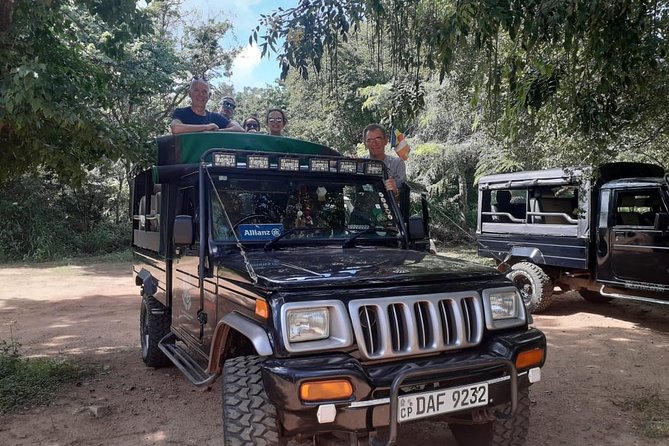 Rangiri Jeep Safari Sigiriya Lion Rock & Evening Jeep Safari - Hurulu Eco Park: dense-jungle energy and an elephant-focused mission