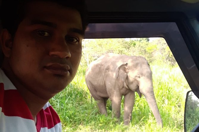 Rangiri Jeep Safari Sigiriya Lion Rock & Evening Jeep Safari - Sigiriya Lion Rock: a UNESCO rock fortress in four hours