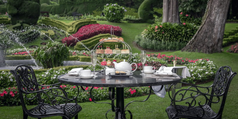 Royal Afternoon Tea at the Grand Nuwara Eliya + Bubbly! - Who This Royal Afternoon Tea Suits Best