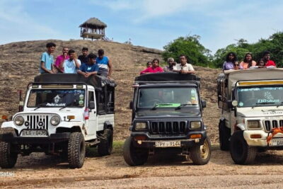 Safari Adventure in Minneriya national Park Sri Lanka - Minneriya National Park: What You’re Actually Looking For