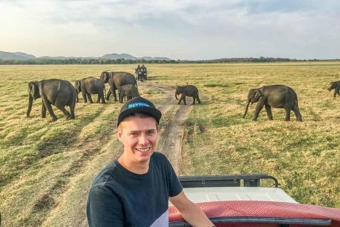 Safari Adventure in Minneriya national Park Sri Lanka - Price and Value: $35 Plus Park Entry Adds Up