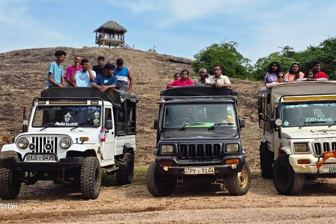 Safari Adventure in Minneriya national Park Sri Lanka - Minneriya National Park: What You’re Actually Looking For