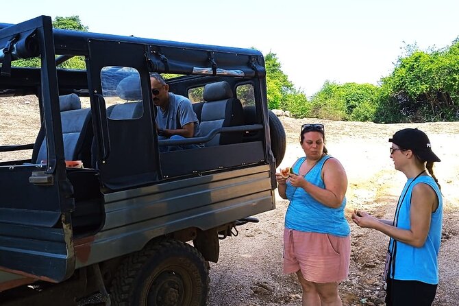 Safari Day Tour to Sigiriya Lion Rock and Golden Cave Temple - Pickup, AC transport, and what you actually get