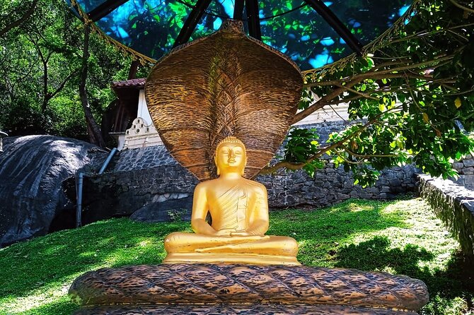 Safari Day Tour to Sigiriya Lion Rock and Golden Cave Temple - Lunch, timing, and optional add-ons that can change your day