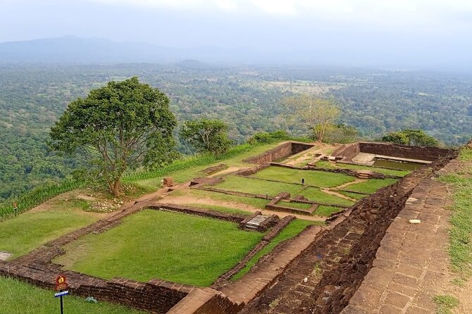 Safari Day Tour to Sigiriya Lion Rock and Golden Cave Temple - Price and value: what the $45 covers (and what you still need)