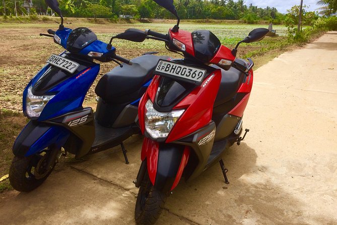 Scooter rent - Quick hits before you commit