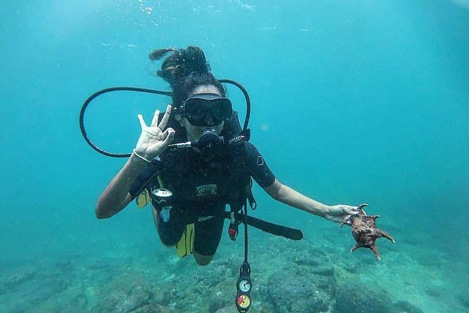 Scuba Diving at Unawatuna - Unawatuna Start Point: Easy Meet on Yaddehimulla Road