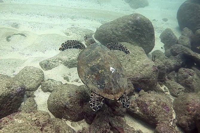 Scuba Diving at Unawatuna - Gear, Changing Rooms, and What They Actually Solve