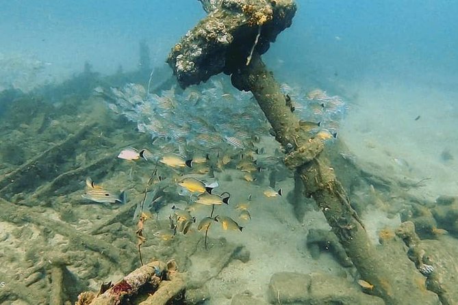Scuba Diving at Unawatuna - Photos With a GoPro: A Great Way to Remember Without Managing a Camera