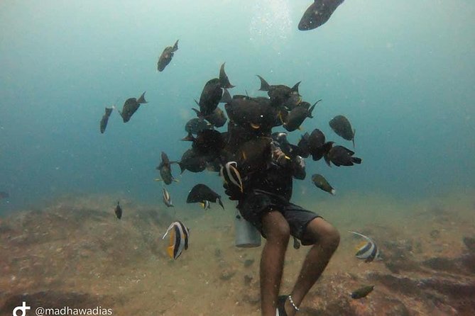 Scuba Diving at Unawatuna - How Much Time and Effort Should You Expect to Commit?