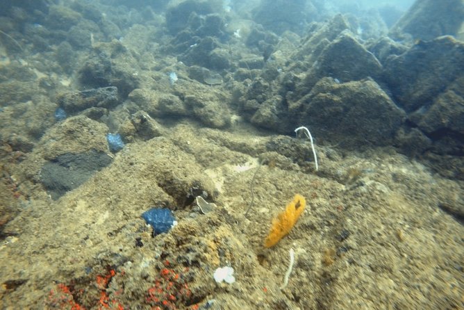 Scuba Diving in Mirissa - Mirissa start point: when the day begins on Sri Lanka’s south coast