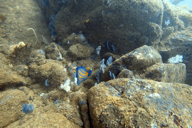 Scuba Diving in Mirissa - Small practical tips before you go