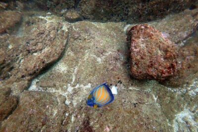 Scuba Diving in Unawatuna - Small-group guidance: why the max 5-person limit matters