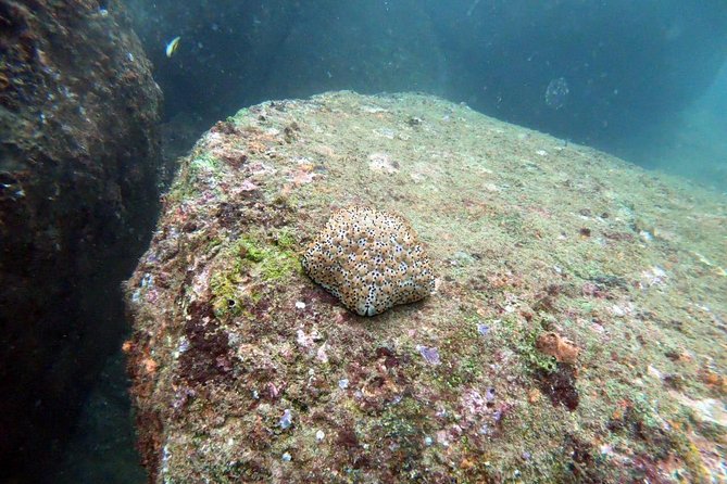 Scuba Diving in Unawatuna - Weather and safety: when plans shift, and why that’s normal