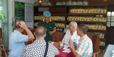 Shore Excursion Colombo Highlight Tour from Passenger Pier. - Pickup at Passenger Terminal: How You’ll Find Your Driver