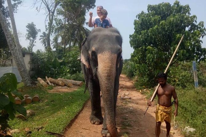 Shore Excursion From Colombo port to Ingiriya Tea Plantation & back for 2 People - Colombo highlights on the drive: using limited shore time wisely