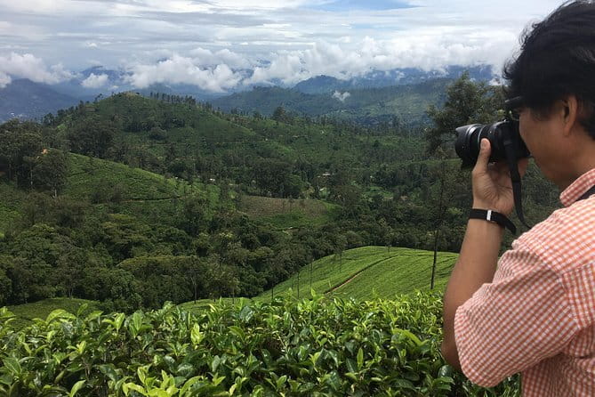 Sightseeing tour Ella & Diyaluma waterfall by car - A Private Car Day That Lets You Hit the Best of Ella
