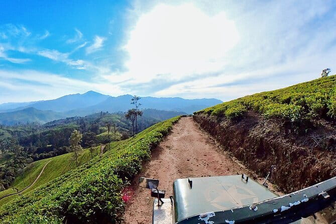 Sightseeing tour Ella & Diyaluma waterfall by car - Little Adam’s Peak (Punchi Sri Pada): Easy Climb, Big View