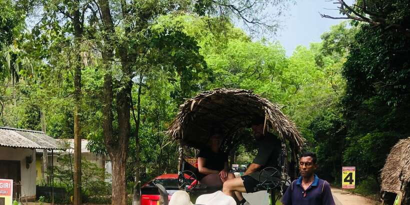 Sigiriya and Dambulla Private Full-Day Tour - Pickup and Timing: How to Plan Your Day Without Stress