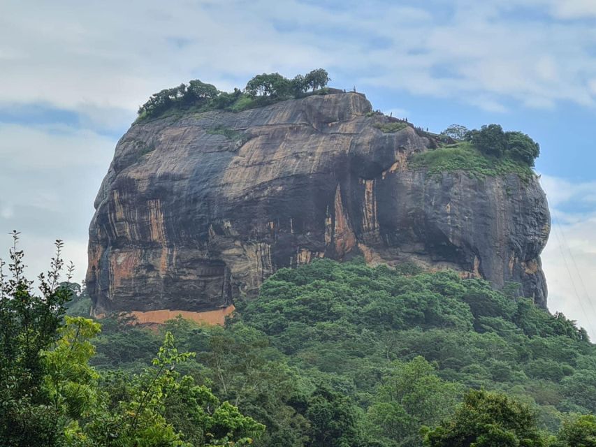 Sigiriya, Dambulla, and Village Safari Day Tour from Negombo - Should You Book This Sigiriya, Dambulla, and Village Safari Day Tour?