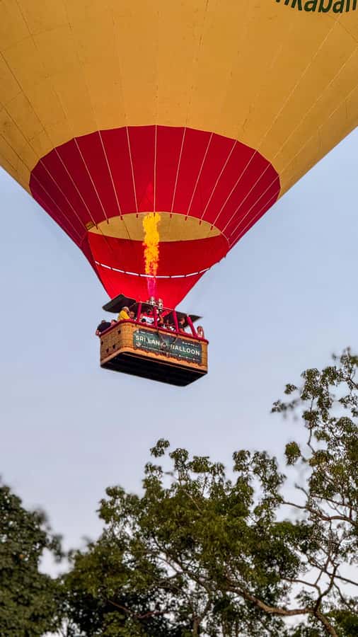 Sigiriya: Hot Air Balloon Ride - The champagne toast and the flight certificate moment