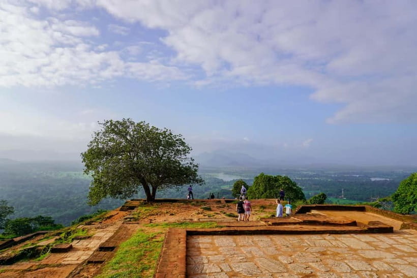 Sigiriya Lion Rock Hike & Minneriya National Park Safari - Inside the Safari Jeep: How You’ll Actually See Animals