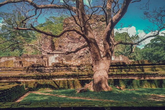 Sigiriya, Polonnaruwa & Dambulla "Trilogy" Day Tour from Colombo - What’s included (and what you’ll likely pay anyway)