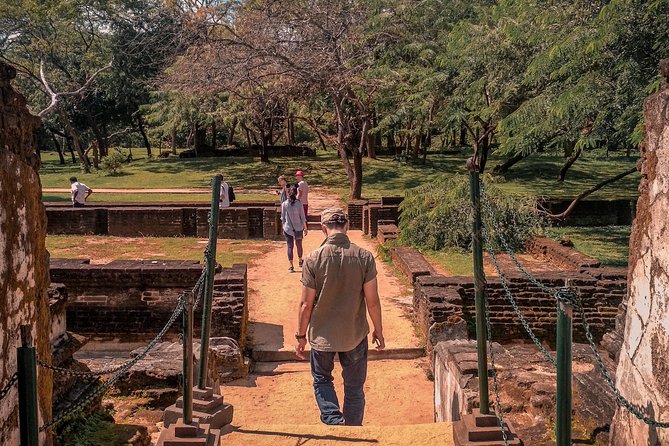 Sigiriya, Polonnaruwa & Dambulla "Trilogy" Day Tour from Colombo - Pickup, timing, and why the day feels long
