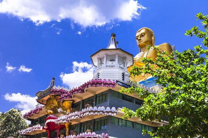 Sigiriya Rock and Dambulla Cave Temple all inclusive Private Day Trip - Colombo Pickup and the Private Minivan Plan