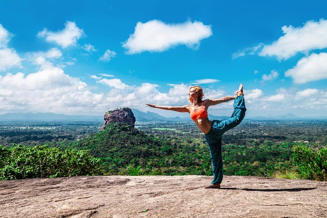 Sigiriya Rock and Dambulla Cave Temple Day Tour - Price and Value: Paying for Transport, Guide Time, and a Private Day