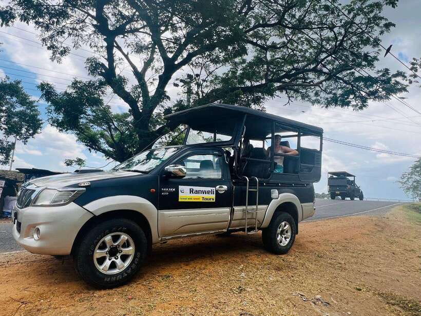Sigiriya Rock , Dambulla Cave Temple Day Tour from Kandy” - Evening Elephant Safari: Minneriya or Hurulu Eco Park