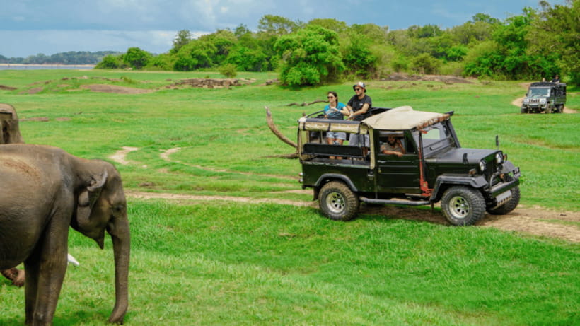 Sigiriya Rock Hike & Minneriya Elephant Safari – Day Tour - Who this day tour is best for