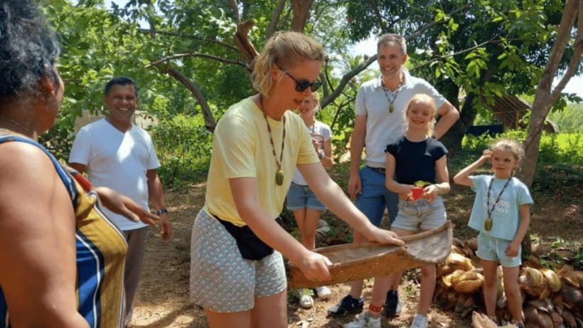 Sigiriya Rock Hike & Minneriya Elephant Safari – Day Tour - Lunch: what to plan for (and what to confirm)