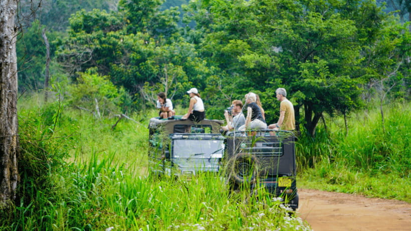 Sigiriya Rock Hike & Minneriya Elephant Safari – Day Tour - A quick Kaudulla photo stop: why it’s worth the minutes