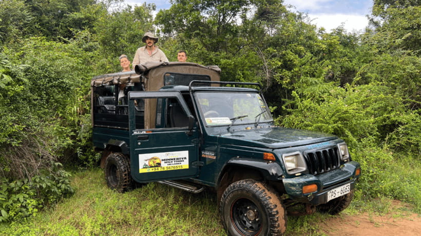 Sigiriya Rock Hike & Minneriya Elephant Safari – Day Tour - Tickets, official guides, and the value of that $57 price