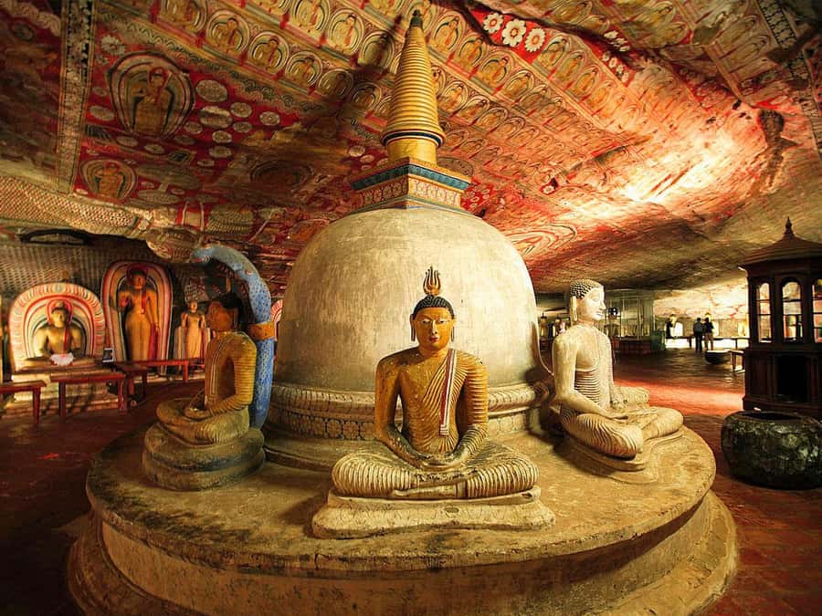 Sigiriya: Sigiriya or Pidurangala Sunrise/Sunset Hike - Entrance Fees and the Real Total Cost