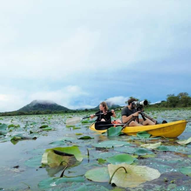 Sigiriya: Sunrise or Sunset Kayaking Tour - Thalkote Lake at Sunrise or Sunset: Why This Paddle Works