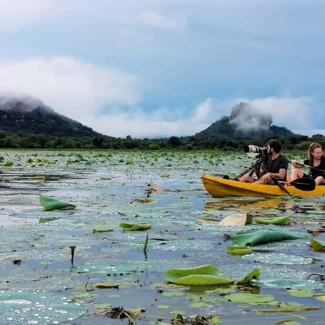 Sigiriya: Sunrise or Sunset Kayaking Tour - What You’ll See: Sigiriya, Pidurangala, Birds, and Water Buffalo