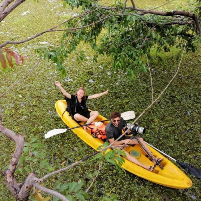 Sigiriya: Sunrise or Sunset Kayaking Tour - From the Thalkote Lake Start to Your Kayak: Logistics That Actually Matter
